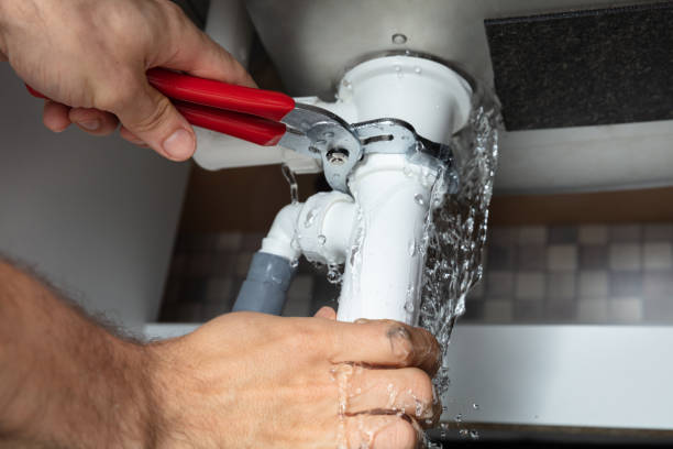 Best Flooded house restoration  in Waverly, TN