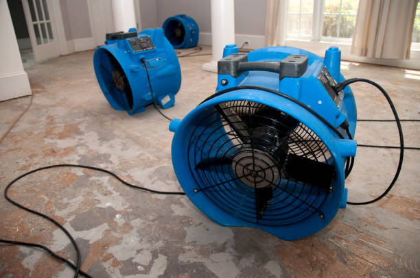 Best Water damage restoration insurance claims  in Waverly, TN