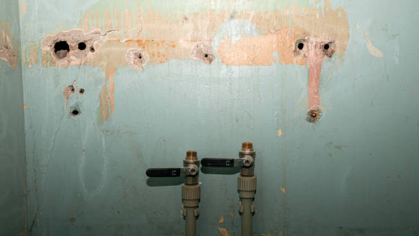 Best Water damage restoration mold remediation  in Waverly, TN