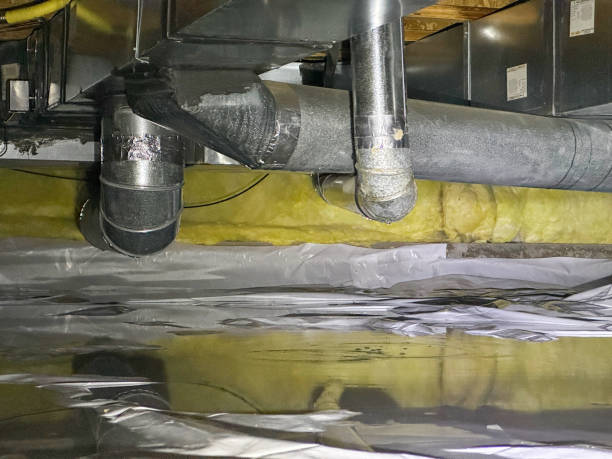 Best Carpet water damage restoration  in Waverly, TN