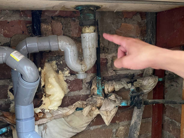 Sewage cleanup and water damage restoration in TN